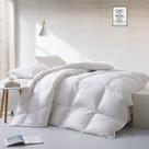 Edredom APSMILE King 305 x 249 cm, leve, com fibras de pluma de ganso