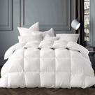 Edredom Globon Winter White Goose Down King 420TC
