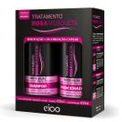 Eico Tratamento Rosa Mosqueta Cicatrização Shampoo Sem Sal 450ml Condicionador Leave-in 400ml