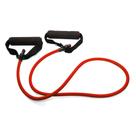 Elastico extensor