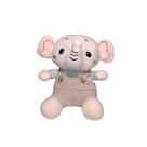 Elefante Baby de Pelúcia com Suspensório 20cm