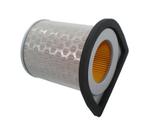 Elemento Filtro De Ar Eksim Cbx 250 F016