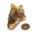 Elestial Jacaré com Mica Pedra Natural 182g 8,5cm Tipo A