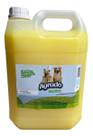 Elimine Cheiro De Xixi/côco, 5l Concentrado Limpa Canil Pinho 5 Litros