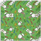 Embalagem para Ovo de Páscoa Aprender Verde 69cm x 89cm - 3 Un