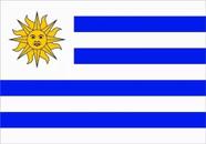Emblema Bandeira Resinada Uruguai 6x4