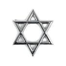 Emblema Estrela De Davi Cromado Fiat Uno Nk-1320514