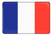 Emblema Resinado Citroen Bandeira França Emblema Resinado Citroen Bandeira França