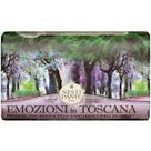 Emozioni In Toscana Floresta Encantada Nesti Dante - Sabonete Perfumado em Barra Emozioni In Toscana Floresta Encantada Nesti Dante - Sabonete Perfumado em Barra