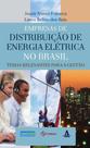 Empresas de distribuição de energia elétrica no Brasil: temas relevantes para a gestão - Synergia Empresas de distribuição de energia elétrica no Brasil: temas relevantes para a gestão - Synergia