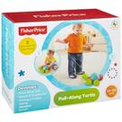 Empurra tartaruga fisher price mattel