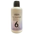 Emulsão Reveladora Loreal Dia Developer 6 volumes 90ml