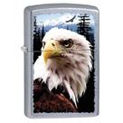 Encendedor Zippo Eagle Pocket Street Chrome