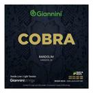 Encordoamento Bandolim Giannini Cobra