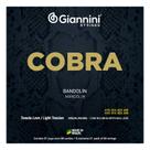 Encordoamento corda BANDOLIM GIANNINI Cobra LEVE c Bolinha