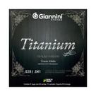 Encordoamento Corda Giannini Violão Nylon Titanium Média Encordoamento Corda Giannini Violão Nylon Titanium Média