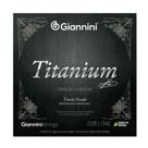 Encordoamento giannini violao genwta 85/15 prateada titanium (i-6 / 8) Encordoamento giannini violao genwta 85/15 prateada titanium (i-6 / 8)