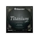 Encordoamento giannini violao genwtm titanium 85/15 prateado - i-4 / 4 Encordoamento giannini violao genwtm titanium 85/15 prateado - i-4 / 4