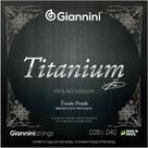 Encordoamento giannini violão ny titanium 85/15 prateado Encordoamento giannini violão ny titanium 85/15 prateado