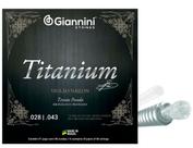 Encordoamento p/ violão giannini titanium nylon genwta