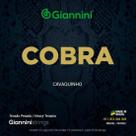 Encordoamento Para Cavaco Aço Pesada Série Cobra Gescp Giannini Encordoamento Para Cavaco Aço Pesada Série Cobra Gescp Giannini