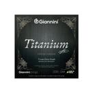 Encordoamento para Violão Náilon 6 cordas Giannini Titanium Bronze 85/15 GENWXTA Extra Pesada Encordoamento para Violão Náilon 6 cordas Giannini Titanium Bronze 85/15 GENWXTA Extra Pesada