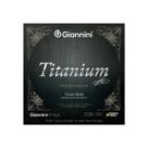 Encordoamento Para Violão Titanium 85/15 GENWTM - Giannini Encordoamento Para Violão Titanium 85/15 GENWTM - Giannini