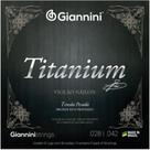 Encordoamento Violão Náilon Giannini Titanium GENWTA Pesada Encordoamento Violão Náilon Giannini Titanium GENWTA Pesada