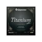 Encordoamento violao nailon giannini titanium pesada genwta Encordoamento violao nailon giannini titanium pesada genwta