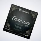 Encordoamento Violão Nylon Giannini Titanium - Tensão Extra Pesada - GENWXTA Encordoamento Violão Nylon Giannini Titanium - Tensão Extra Pesada - GENWXTA