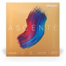 Encordoamento Violino Tensao Media D Addario Ascente A310 4/4M Encordoamento Violino Tensao Media D Addario Ascente A310 4/4M