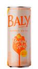 Energetico Baly Sabor Floripa Spritz Lata - 250ml