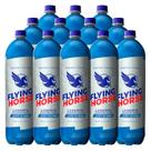 Energético Flying Horse Energy Drink Zero 2l 12 Unidades