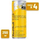 Energético Red Bull Tropical Lata 250ml Caixa c 4 un