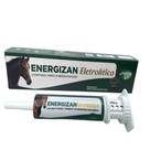Energizan Eletrolitico Laippe 40g