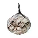 Enfeite cranio esqueleto branco halloween