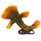 Enfeite de resina boyu coral sps pavona amarela (cw-139)