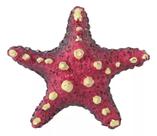 Enfeite De Resina Soma Invertebrado Estrela Spotted Rosa Enfeite De Resina Soma Invertebrado Estrela Spotted Rosa