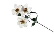 Enfeite Decorativo 3 Flores