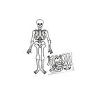 Enfeite Decorativo De Halloween - Esqueleto Articulado - 70cm - 1 unidade - Cromus - Rizzo