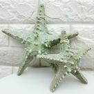 Enfeite Decorativo Estrela do Mar Decorativa Kit 2 Peças em Resina Branco Outras Marcas Enfeite Decorativo Estrela do Mar Decorativa Kit 2 Peças em Resina Branco Outras Marcas