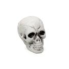 Enfeite Decorativo Halloween - Crânio de Esqueleto - 12 unidades - Crom