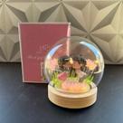 Enfeite decorativo luminoso cúpula de vidro com casal flores e Led de decoração enfeitinho bola casalzinho namorados