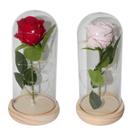 Enfeite Decorativo Rosa Eterna - Cores sortidas - FWB