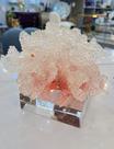 Enfeite Elegante Coral Raposa Rosado com Base Acrilico Menor