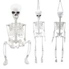 Enfeite Halloween Esqueleto Humano Realista Articulado 75 cm