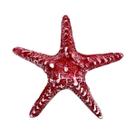 Enfeite para Parede 1 Estrela do Mar em Resina 15 cm Decoração Piscina