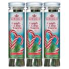 Enfeites de Natal perfumados Scentsicles Candy Cane Forest Enfeites de Natal perfumados Scentsicles Candy Cane Forest