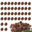 Enfeites de pinhas Apipi Natural Mini Christmas, 40 unidades