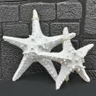 Enfeites Estrelas Mar Branca Casa Praia Mar Oceano Kit 2pçs